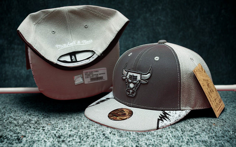Gorra PLG526 MITCHLLBULLSGRISGRIS