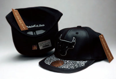 Gorra PLG526 MITCHLLBULLSNGONGO