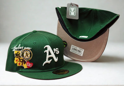 Gorra PLG526 NEASBCOVDE